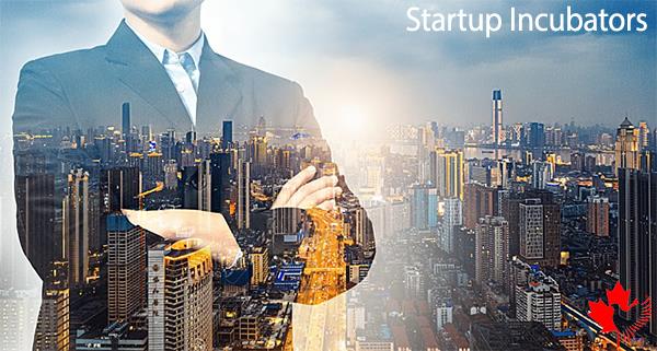 انکوباتور در استار اپ