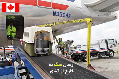 خرید بلیط هواپیما برای حیوانات خرید بلیط هواپیما برای حیوانات